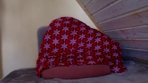 matko1492 online show from 03/02/26, 08:54