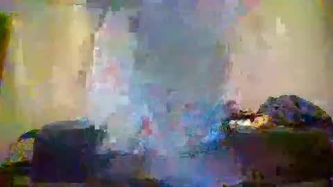 matt48195571828 online show from 05/31/26, 09:27