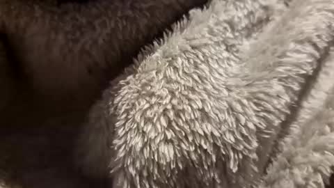 Snapshot of mattca80 chatting on 10/04/25, 02:53 mattca80 online show from 10/04/25, 02:53