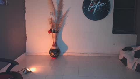 mattias     online show from 01/24/25, 02:07