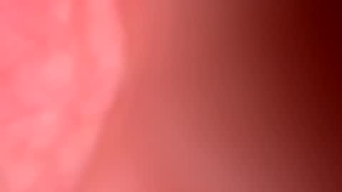 Freekster online show from 03/31/26, 06:30