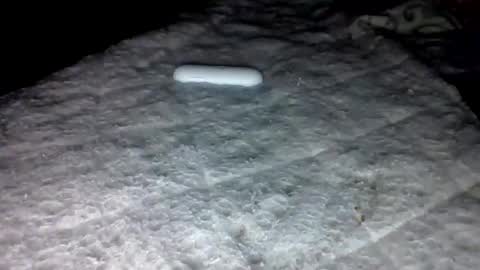 Snapshot of mauricescott chatting on 02/03/26, 06:22 mauricescott online show from 02/03/26, 06:22