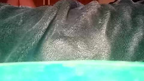 Ignacio online show from 01/12/25, 01:37