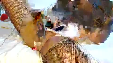 mauro sex online show from 02/06/25, 06:02