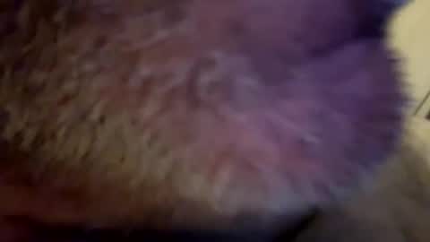 maverick7000 online show from 02/23/25, 08:17