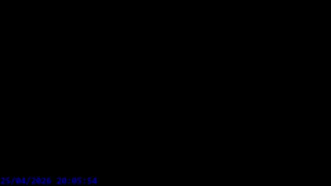 Maxel F online show from 04/25/26, 06:05