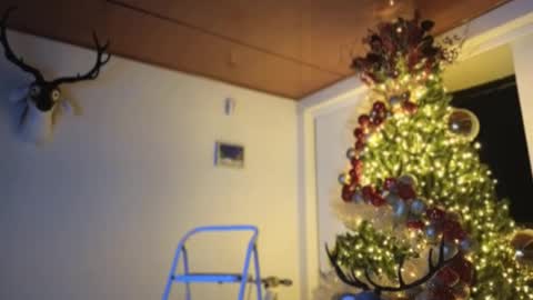 Sebastian online show from 12/03/24, 11:57