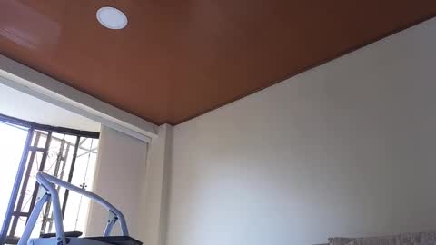 Sebastian online show from 01/13/25, 03:26