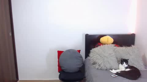 Independent Model online show from 02/18/26, 02:51