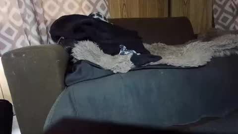 Max online show from 02/01/25, 07:15