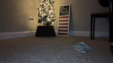 Snapshot of maxx276828 chatting on 11/22/25, 04:44 maxx276828 online show from 11/22/25, 04:44