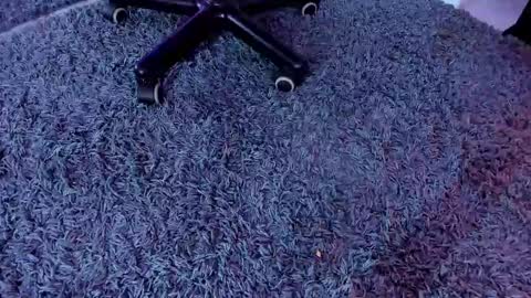 bunny black   online show from 03/01/25, 08:34