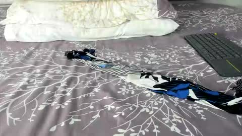 Maybelline69 online show from 03/02/26, 08:26