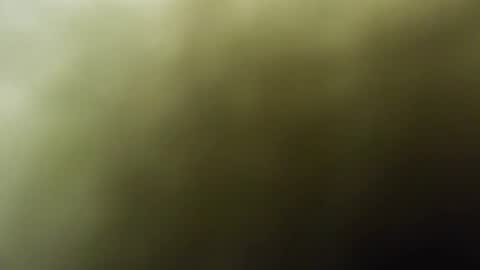 maylee_x online show from 02/15/25, 12:01