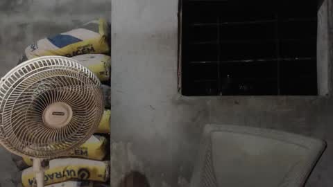 Mcgregor online show from 10/22/25, 02:56