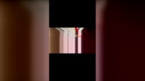 mcgriffwes2 online show from 02/12/26, 02:17