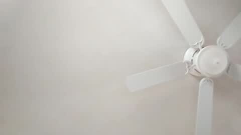 mcwire4 online show from 01/01/25, 05:44