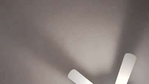 Snapshot of mcwire4 chatting on 01/19/25, 08:41 mcwire4 online show from 01/19/25, 08:41