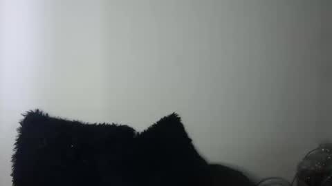 Megan and sophi online show from 09/19/25, 09:37