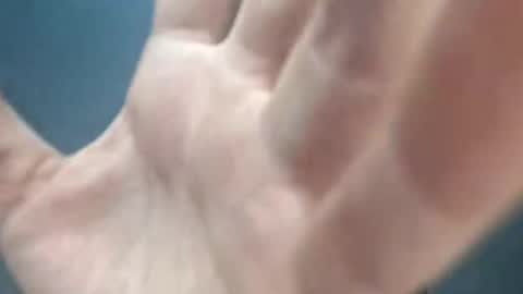 Megan and sophi online show from 03/05/26, 02:07