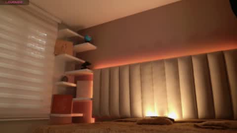     online show from 11/15/25, 12:13