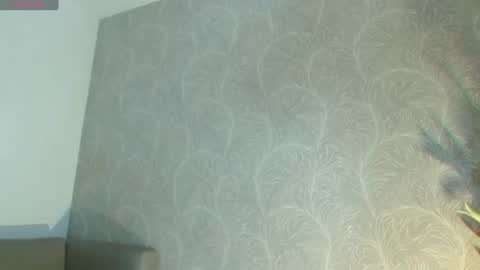 Snapshot of megan_queen12 chatting on 07/03/26, 04:41 megan_queen12 online show from 07/03/26, 04:41