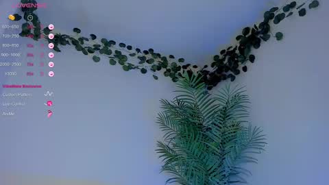 megancarlott_ online show from 03/01/25, 05:31