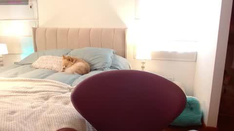 MEGAN online show from 01/02/25, 08:35