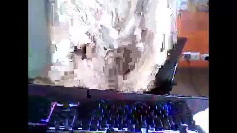 meks5544 online show from 04/12/26, 11:15