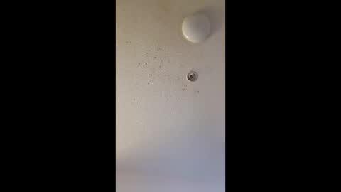 mel_hart_jr online show from 03/25/26, 07:47