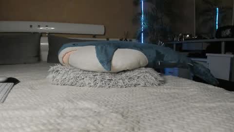  Start every day 2000 - 700 online show from 02/15/26, 08:49