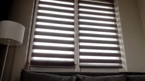 Melania online show from 12/31/24, 11:53