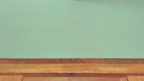 Melania online show from 03/01/25, 12:34