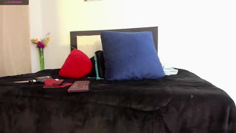 melaniie_roussel online show from 12/22/24, 04:06