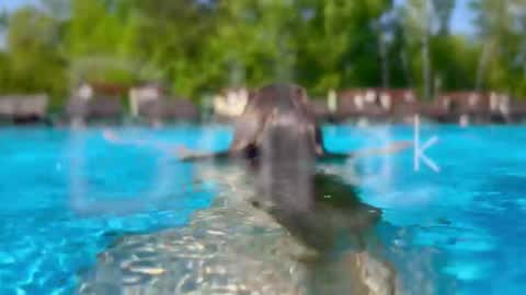 Adel online show from 01/14/26, 07:08