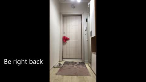 Melina online show from 02/25/26, 09:08