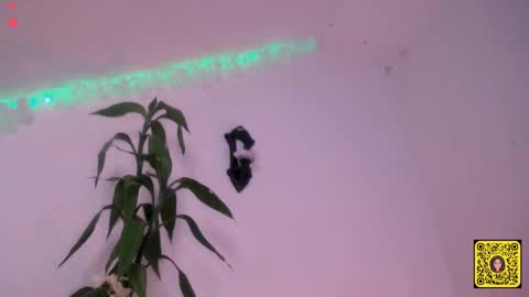 melissa online show from 09/20/25, 01:56