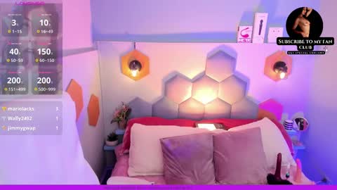 Snapshot of melissa_koster chatting on 02/17/25, 11:53 Melissa 3 online show from 02/17/25, 11:53