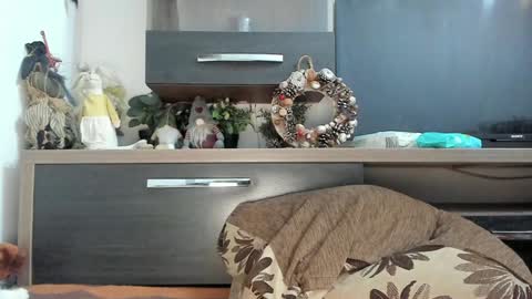 Snapshot of mellbell_ chatting on 01/08/25, 10:58 MellyMell online show from 01/08/25, 10:58