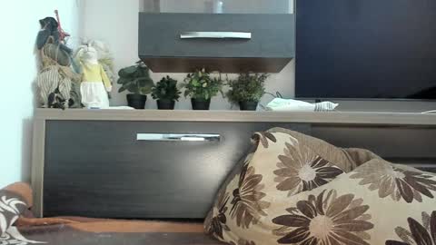 Snapshot of mellbell_ chatting on 01/30/25, 11:02 MellyMell online show from 01/30/25, 11:02