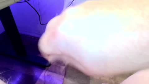 Snapshot of mellomike chatting on 09/22/25, 06:32 mellomike online show from 09/22/25, 06:32