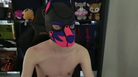 Snapshot of mellpup chatting on 04/09/26, 09:31 MellPUP online show from 04/09/26, 09:31