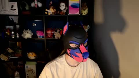 MellPUP online show from 06/15/26, 11:23