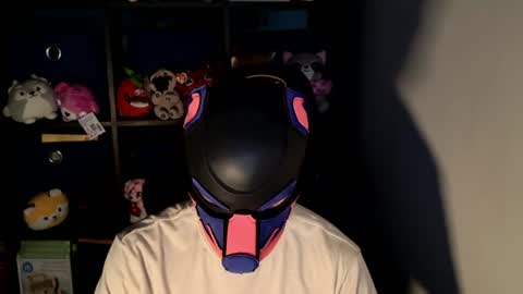 MellPUP online show from 06/18/26, 11:25