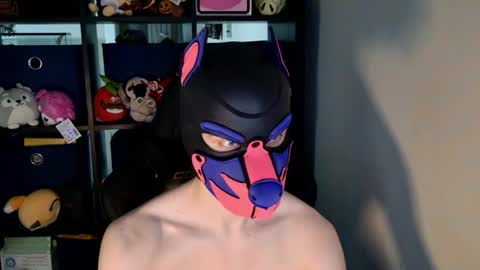 MellPUP online show from 06/20/26, 03:15