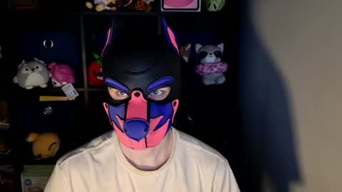 MellPUP online show from 06/22/26, 11:29