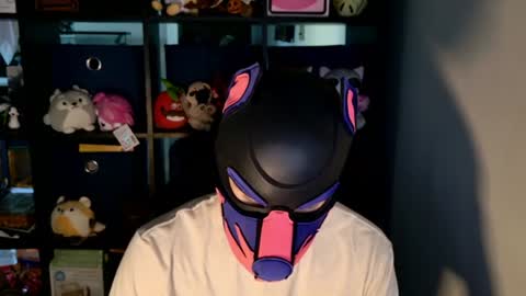 MellPUP online show from 06/23/26, 12:25