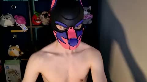 MellPUP online show from 06/24/26, 12:15