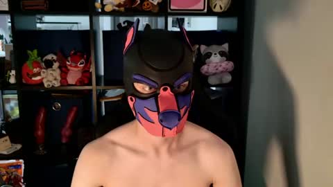 MellPUP online show from 07/14/26, 06:13