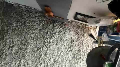 melodysnow online show from 01/05/26, 05:49